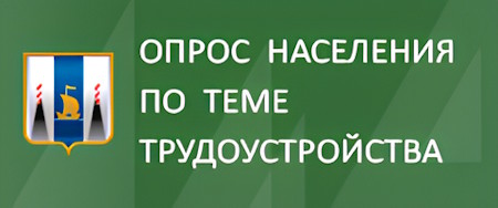 Опрос населения по теме трудоустройства